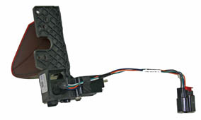 Door - Charge Port - Single Phase - Motorized (Remove and Replace)